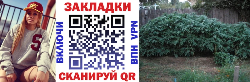 Где купить наркотики Нижний Тагил Гашиш Каннабис КОКАИН СОЛЬ Галлюциногенные грибы МЕФ