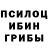 Галлюциногенные грибы Psilocybine cubensis EquilibRA