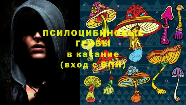 прущая мука Надым