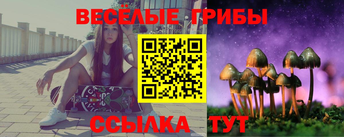 Нижний Тагил  Галлюциногенные грибы Psilocybe  Вход с VPN 