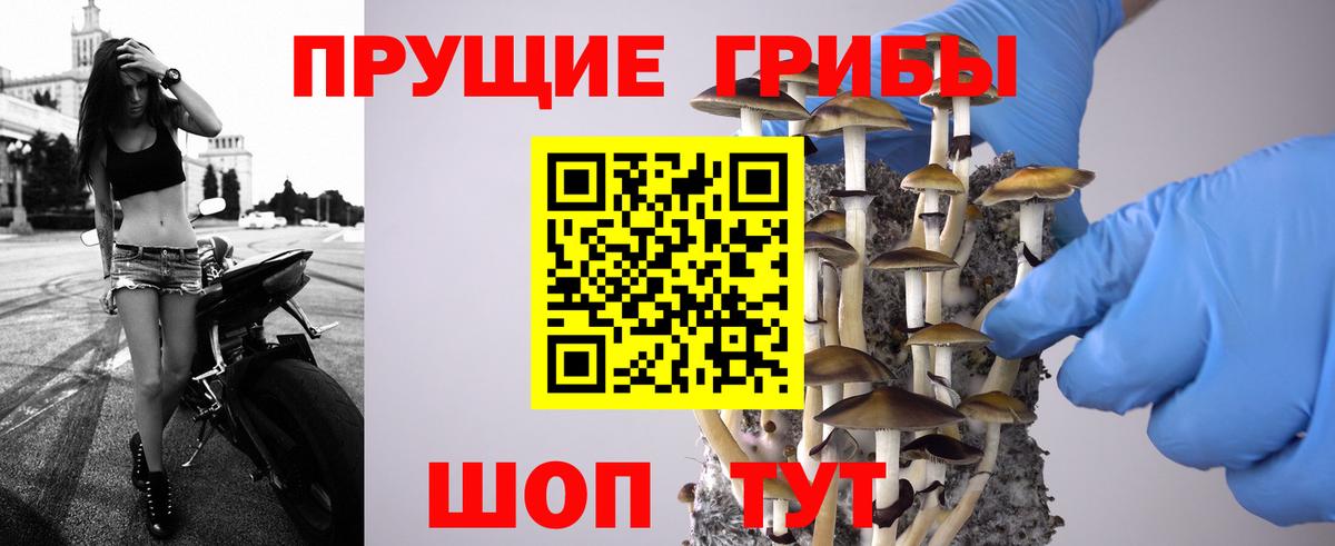 Псилоцибиновые грибы мицелий Нижний Тагил