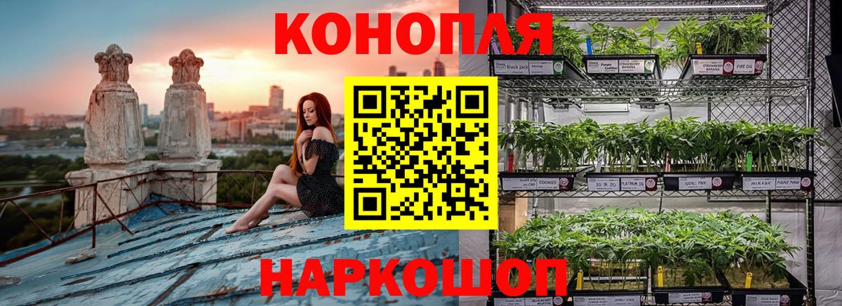 Бошки Шишки индика Нижний Тагил